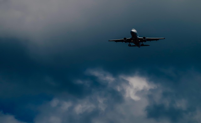 Sådan forvandler du dit hjem til en klimavenlig oase